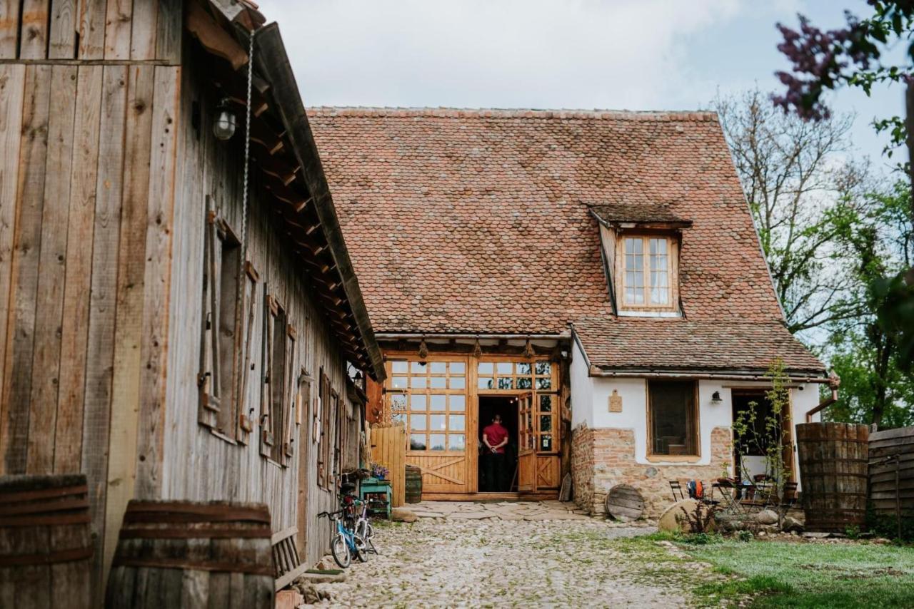 Отель Viscri 32 - White Barn And Blue House Экстерьер фото