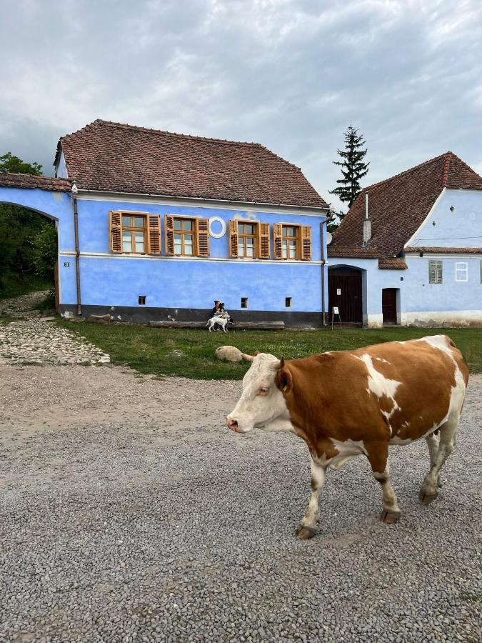 Отель Viscri 32 - White Barn And Blue House Экстерьер фото